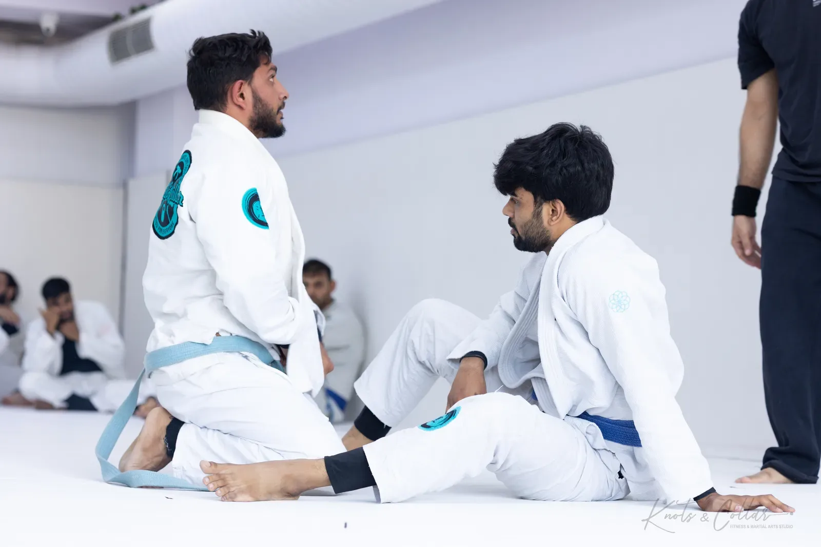 King of the Tatami — Adults, August 2026: a Brazilian Jiu-Jitsu competition at Knots & Collar, Defence Colony, New Delhi, India