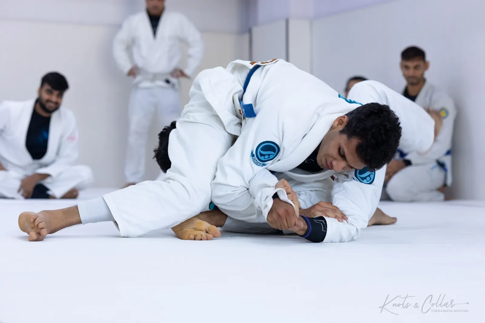 King of the Tatami — Adults, August 2026: a Brazilian Jiu-Jitsu competition at Knots & Collar, Defence Colony, New Delhi, India