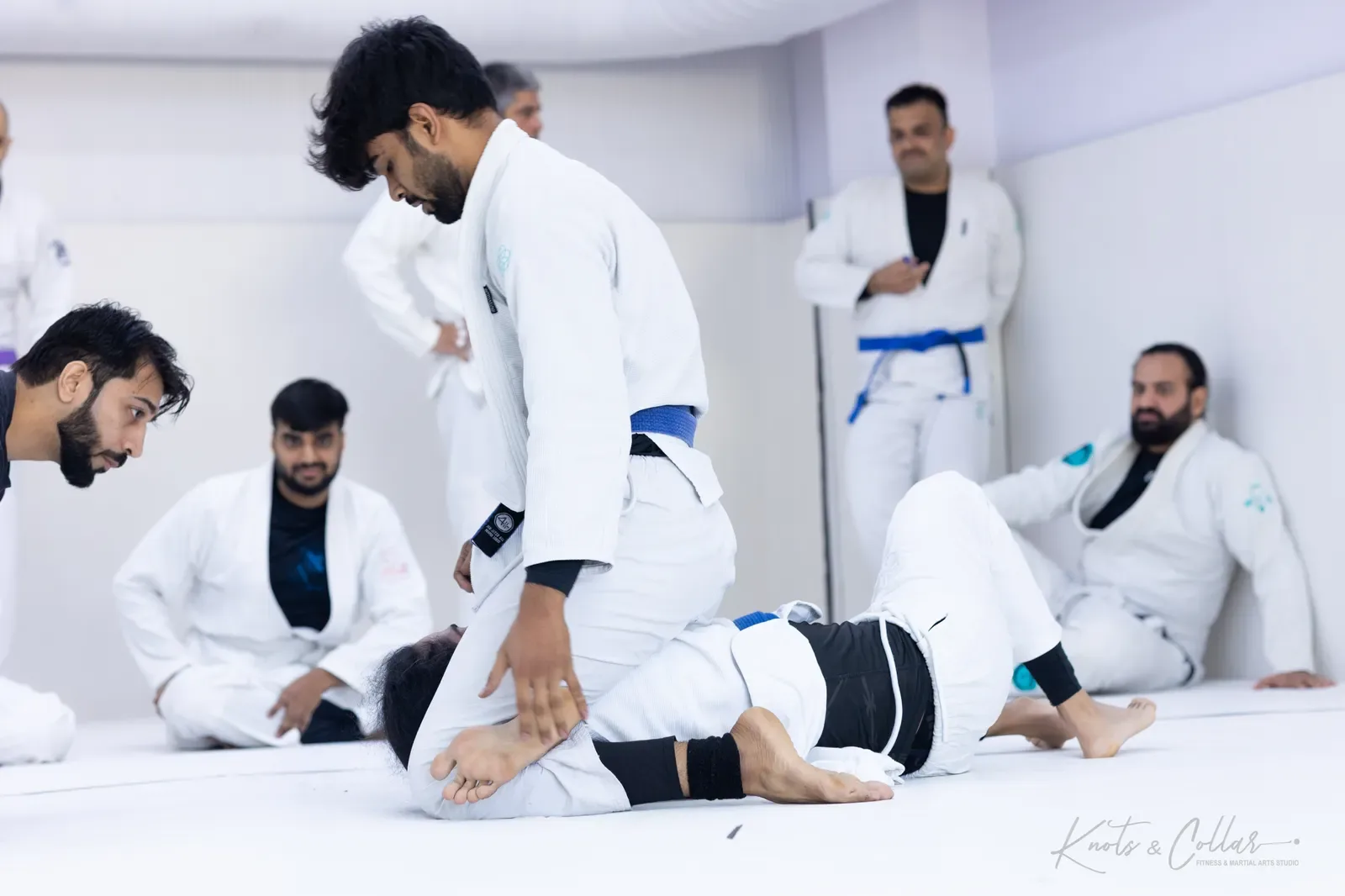 Adults competing at King of the Tatami (August 2026) at Knots & Collar, Defence Colony, New Delhi, India