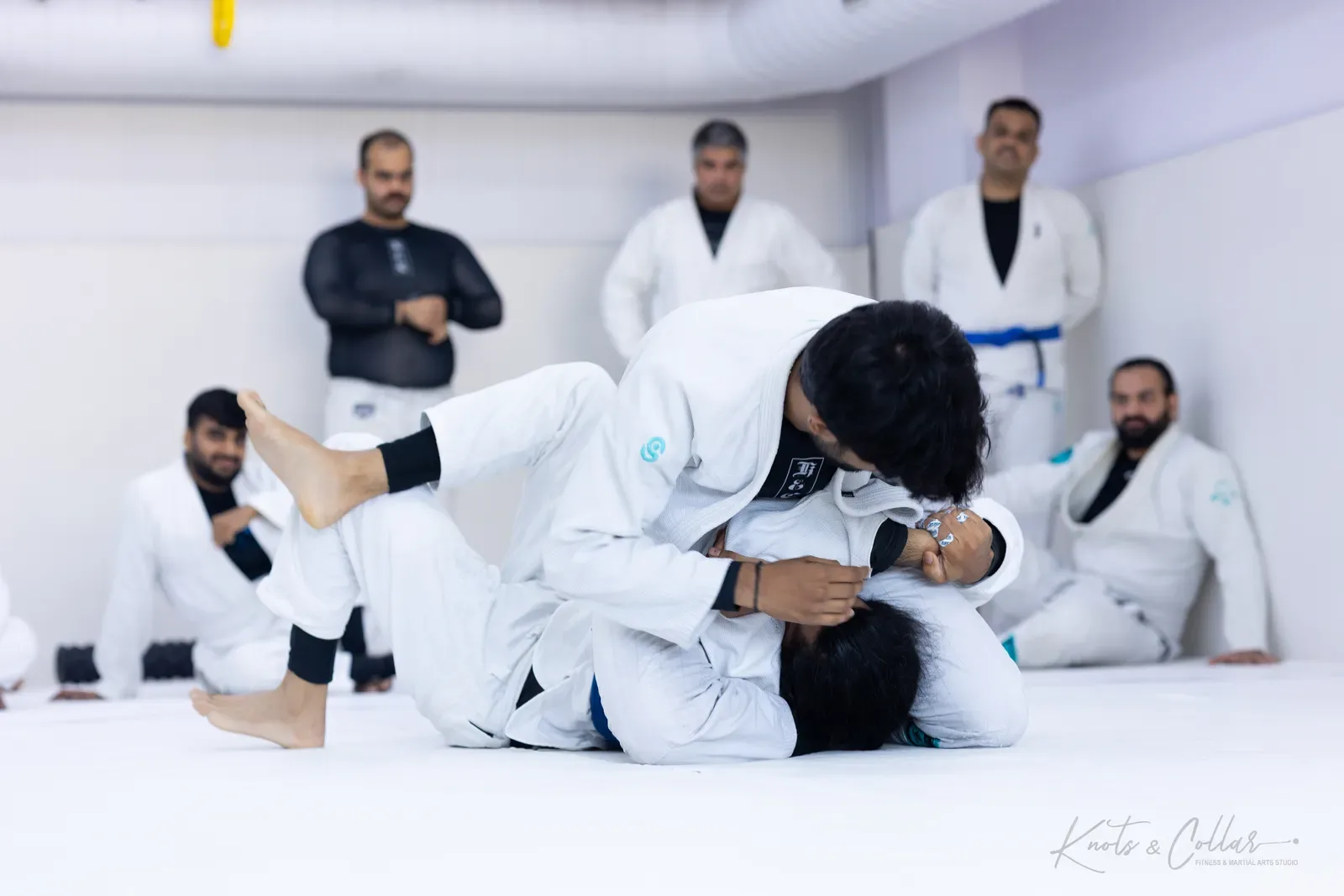 King of the Tatami — Adults, August 2026: a Brazilian Jiu-Jitsu competition at Knots & Collar, Defence Colony, New Delhi, India