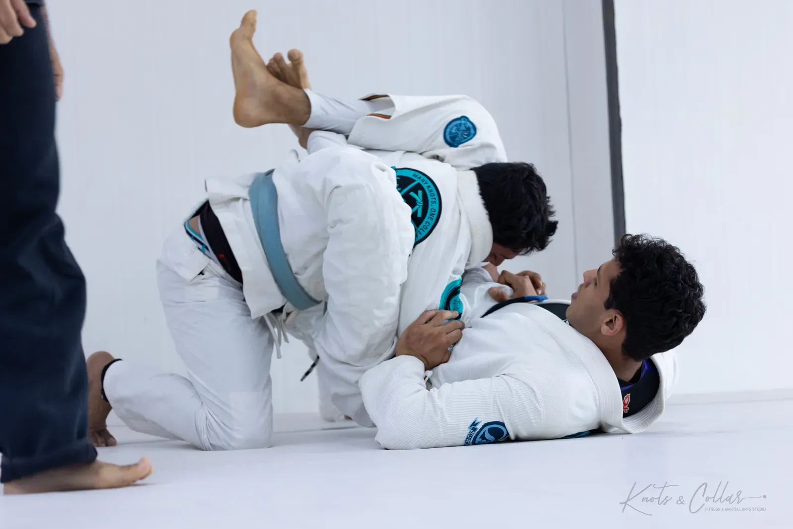 Adults competing at King of the Tatami (August 2026) at Knots & Collar, Defence Colony, New Delhi, India