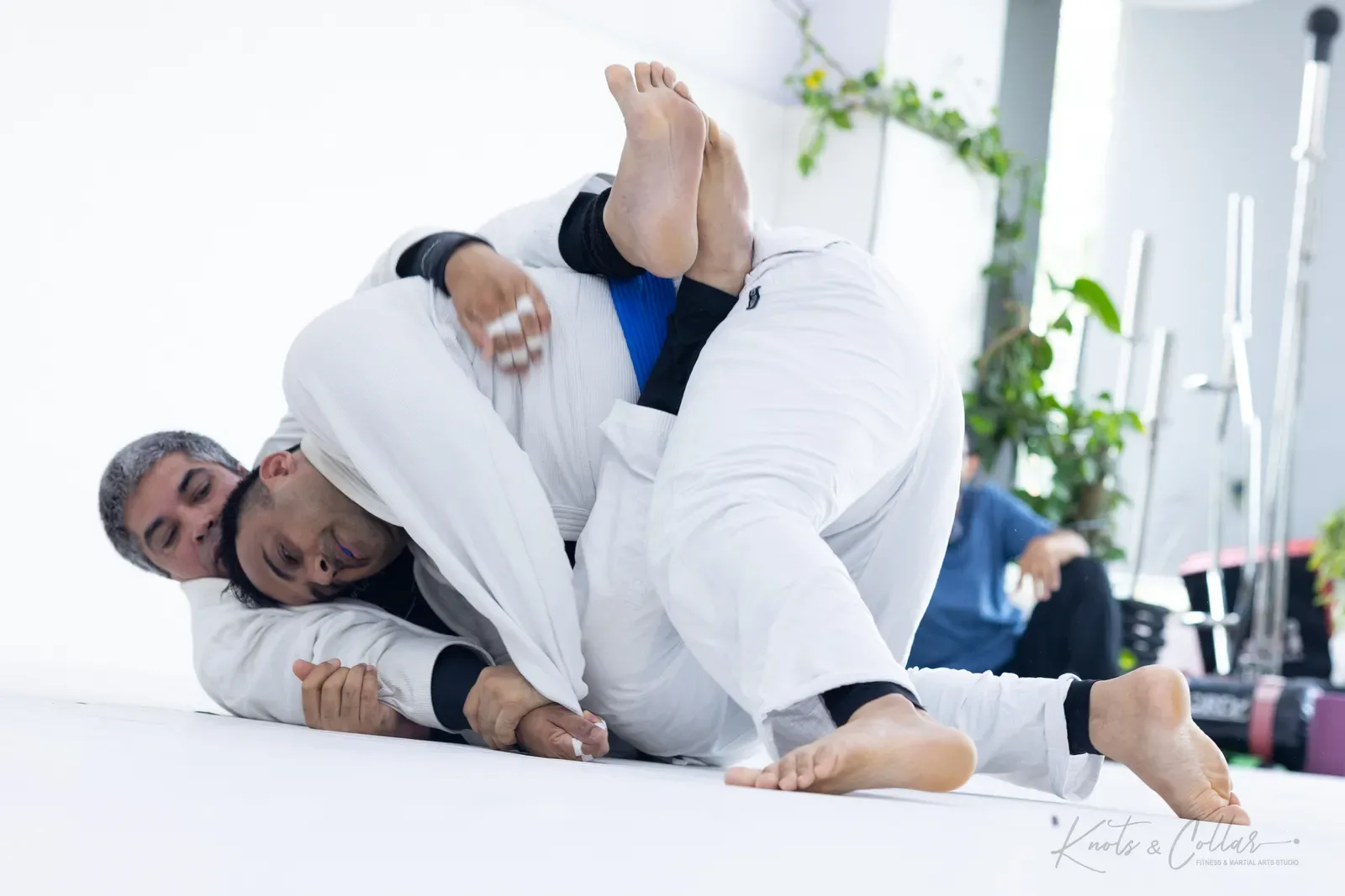 King of the Tatami — Adults, August 2026: a Brazilian Jiu-Jitsu competition at Knots & Collar, Defence Colony, New Delhi, India