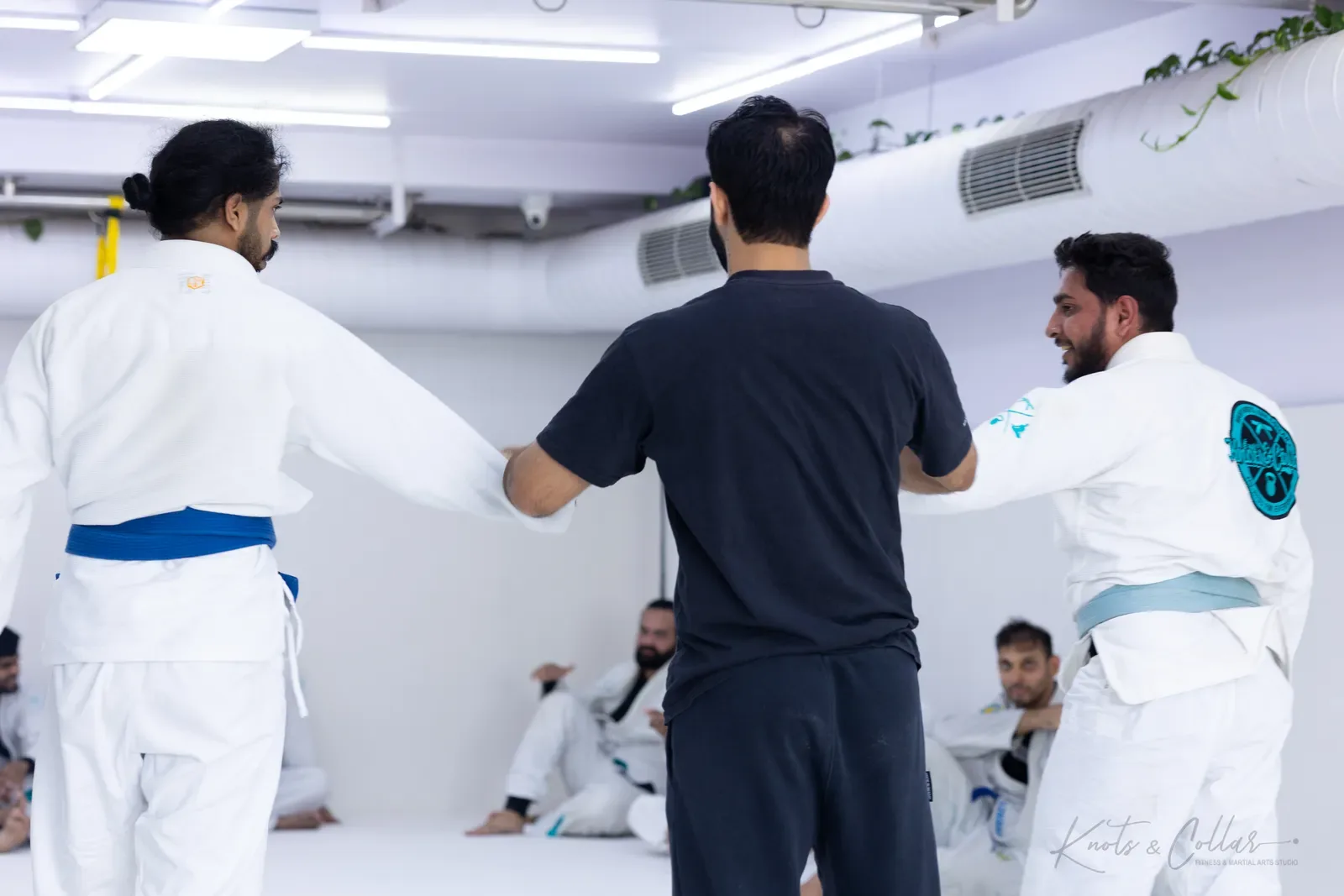 King of the Tatami — Adults, August 2026: a Brazilian Jiu-Jitsu competition at Knots & Collar, Defence Colony, New Delhi, India