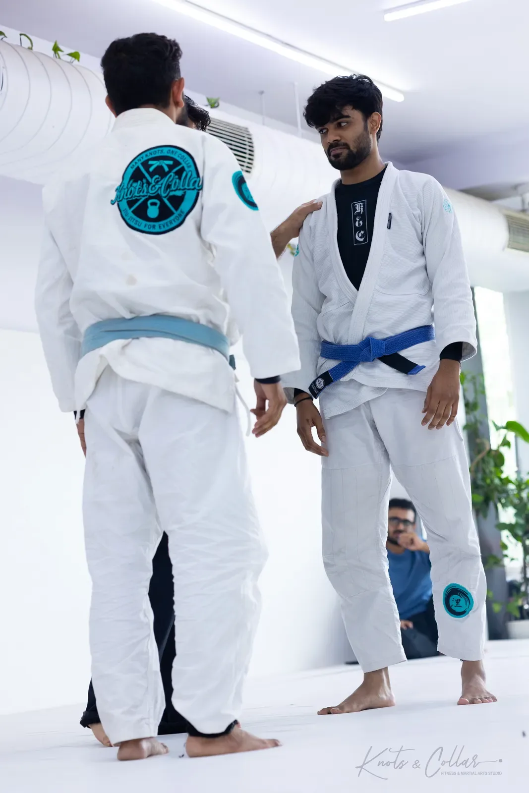 Adults competing at King of the Tatami (August 2026) at Knots & Collar, Defence Colony, New Delhi, India