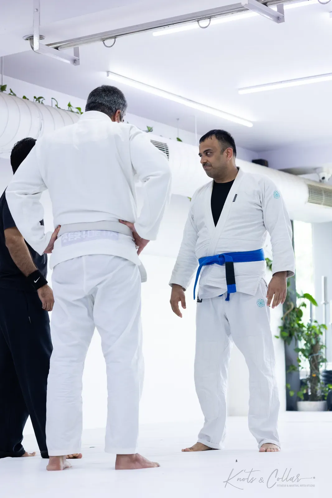 Adults competing at King of the Tatami (August 2026) at Knots & Collar, Defence Colony, New Delhi, India