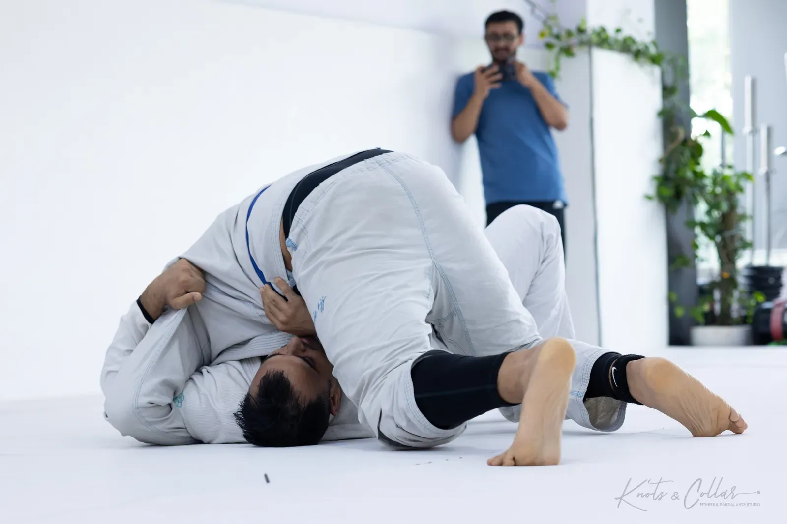King of the Tatami — Adults, August 2026: a Brazilian Jiu-Jitsu competition at Knots & Collar, Defence Colony, New Delhi, India