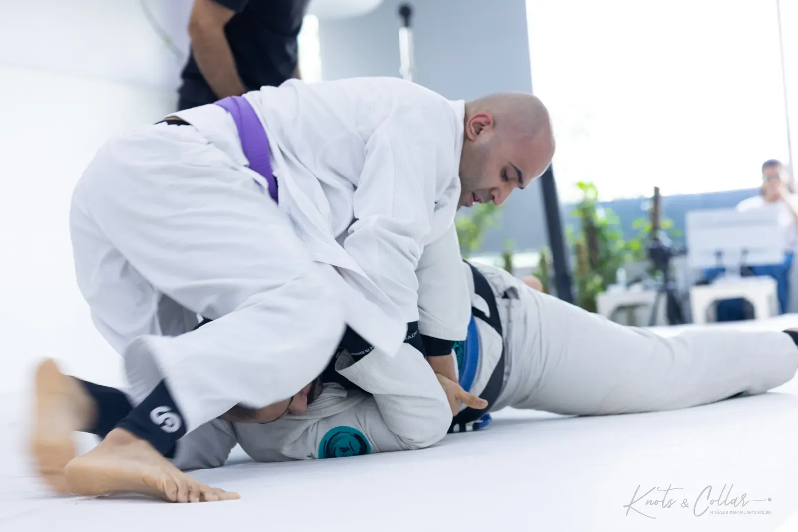 Adults competing at King of the Tatami (August 2026) at Knots & Collar, Defence Colony, New Delhi, India