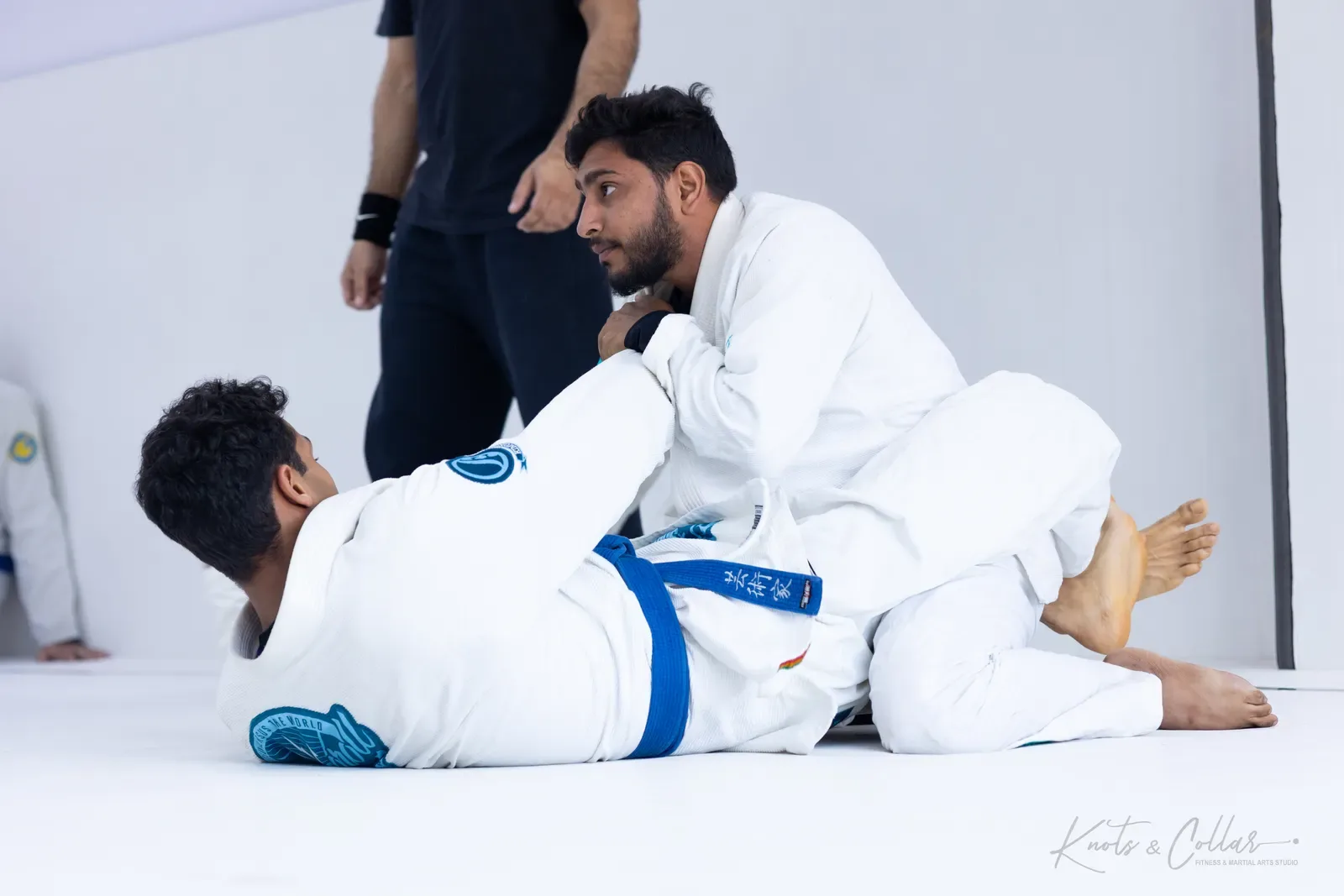 King of the Tatami — Adults, August 2026: a Brazilian Jiu-Jitsu competition at Knots & Collar, Defence Colony, New Delhi, India