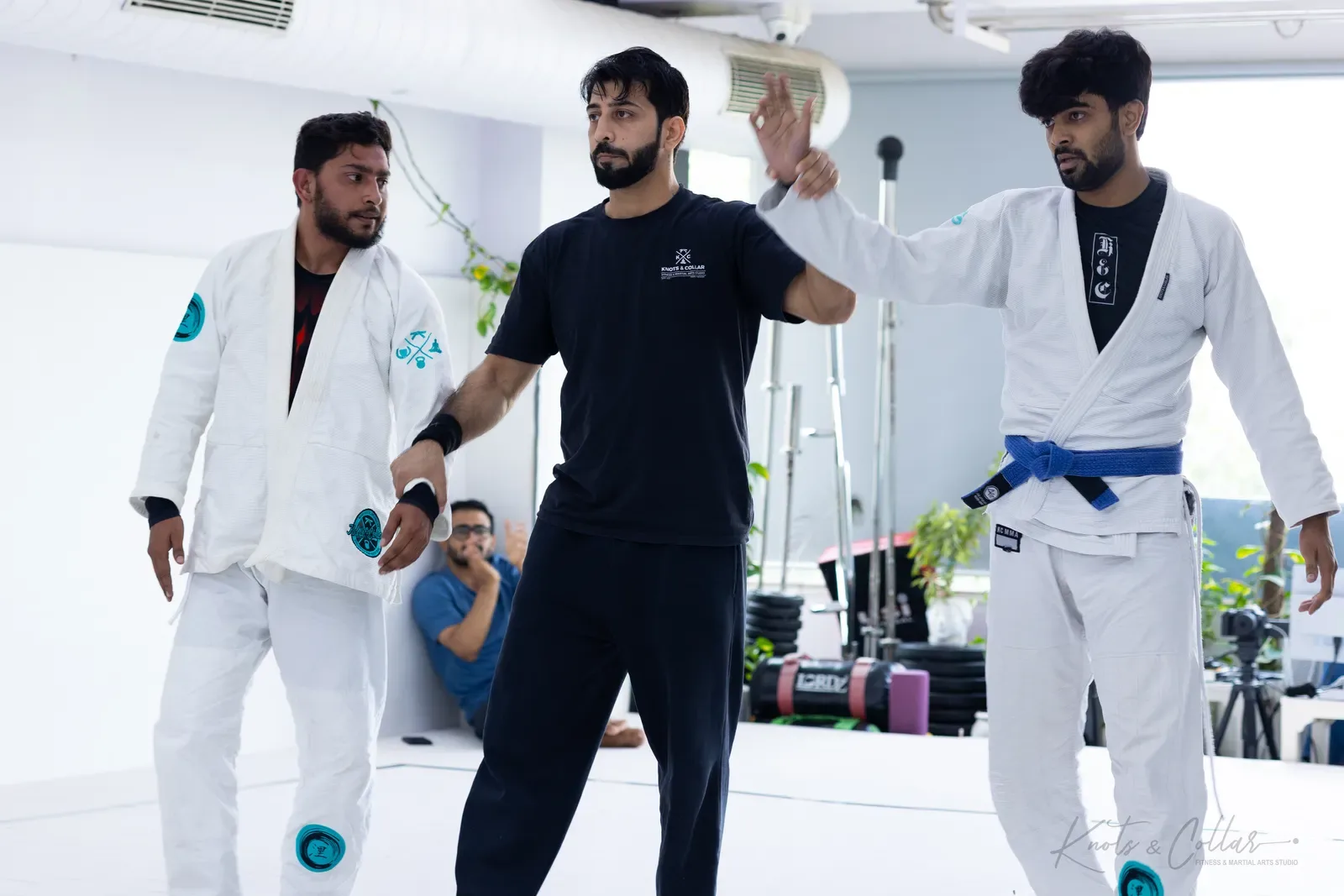 King of the Tatami — Adults, August 2026: a Brazilian Jiu-Jitsu competition at Knots & Collar, Defence Colony, New Delhi, India