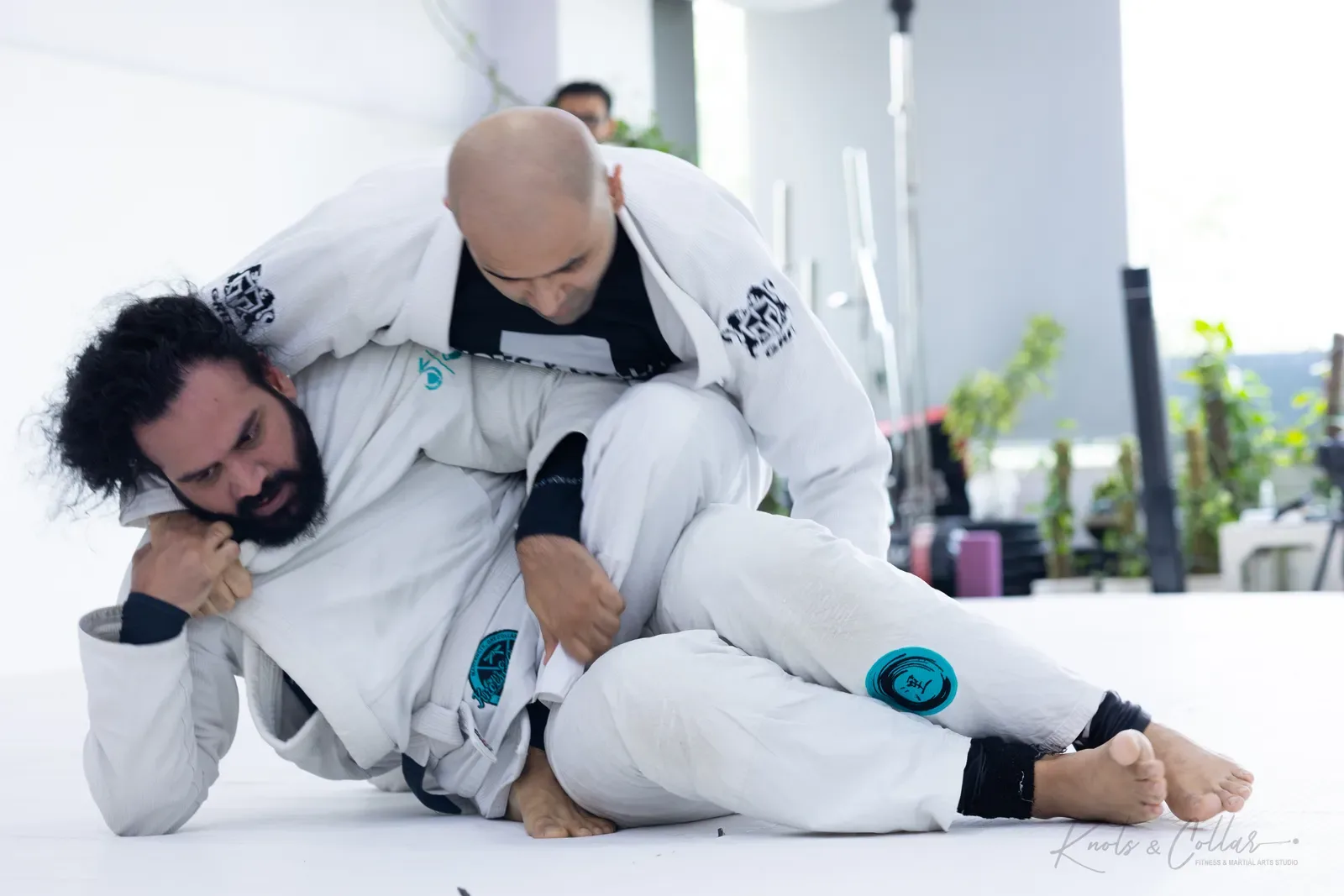 Adults competing at King of the Tatami (August 2026) at Knots & Collar, Defence Colony, New Delhi, India