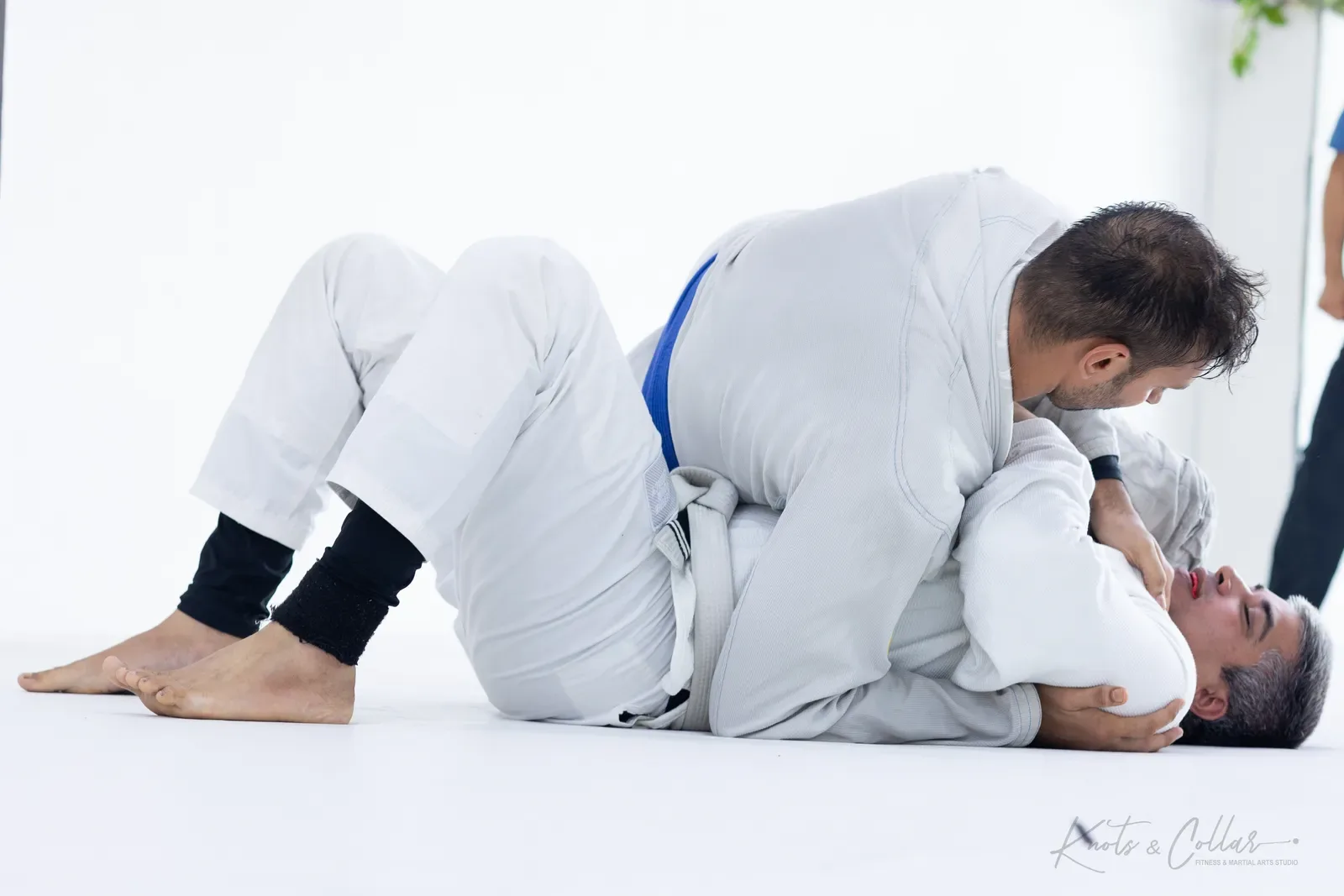Adults competing at King of the Tatami (August 2026) at Knots & Collar, Defence Colony, New Delhi, India