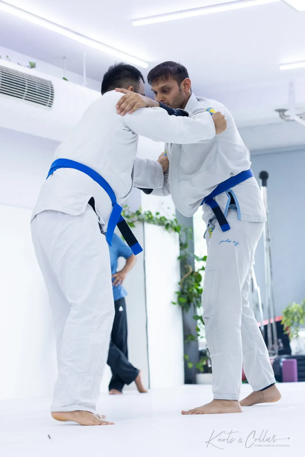 King of the Tatami — Adults, August 2026: a Brazilian Jiu-Jitsu competition at Knots & Collar, Defence Colony, New Delhi, India