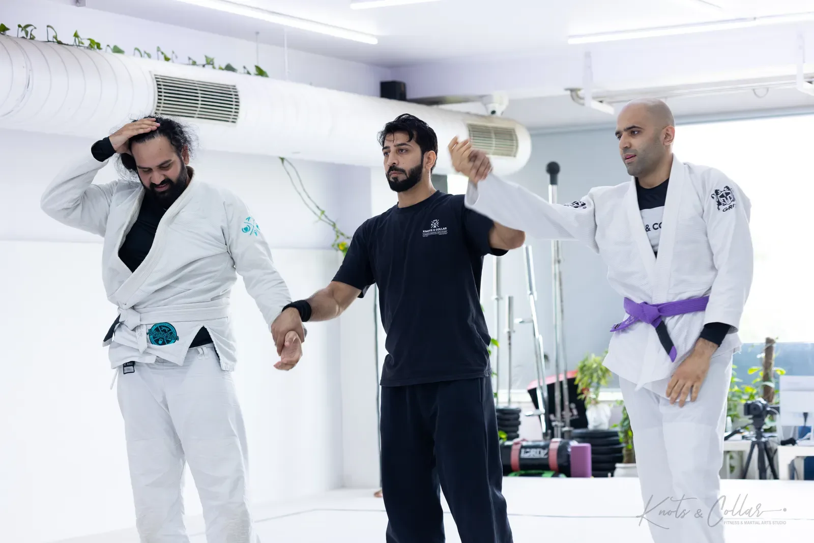 King of the Tatami — Adults, August 2026: a Brazilian Jiu-Jitsu competition at Knots & Collar, Defence Colony, New Delhi, India