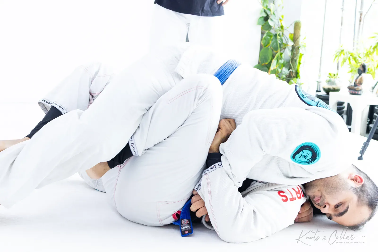 Adults competing at King of the Tatami (July 2025) at Knots & Collar, Defence Colony, New Delhi, India