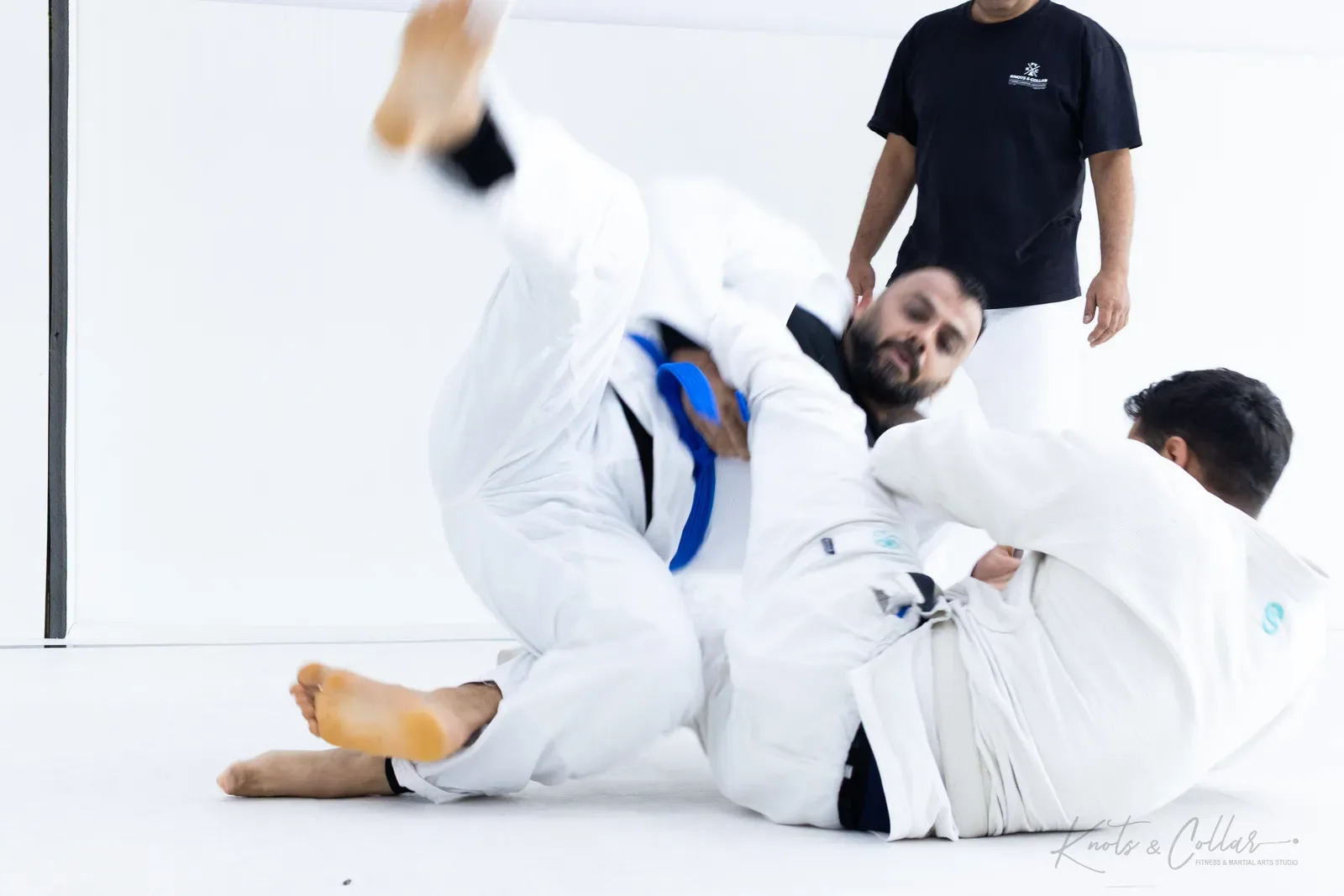 Adults competing at King of the Tatami (July 2025) at Knots & Collar, Defence Colony, New Delhi, India
