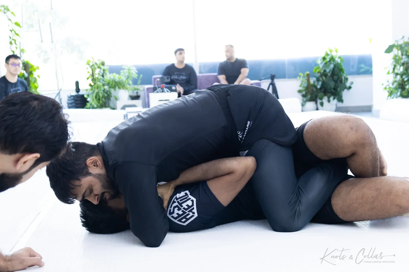 King of the Tatami — Adults, October 2024: a Brazilian Jiu-Jitsu competition at Knots & Collar, Defence Colony, New Delhi, India