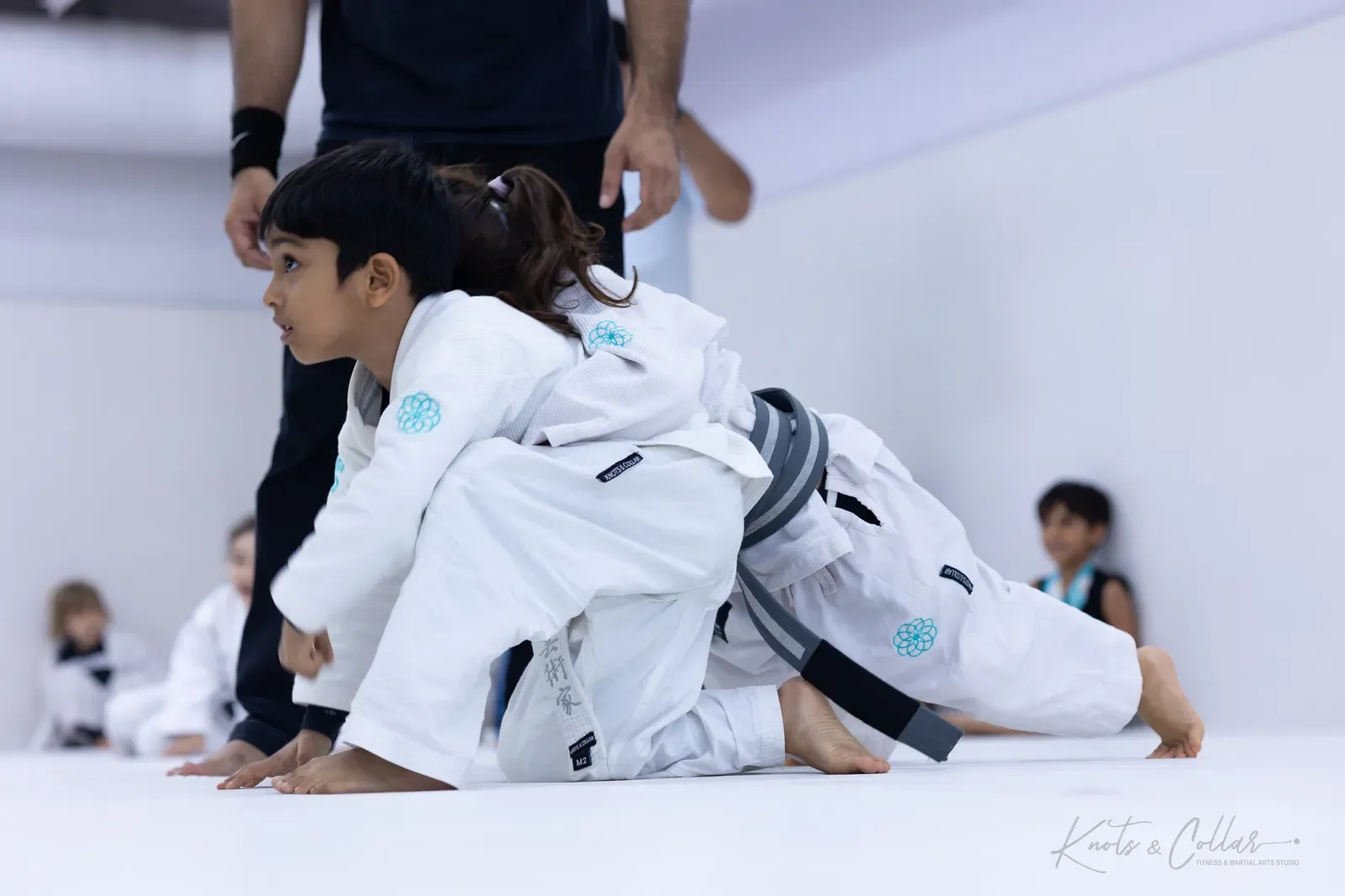 King of the Tatami — Kids, August 2026: a Brazilian Jiu-Jitsu competition at Knots & Collar, Defence Colony, New Delhi, India