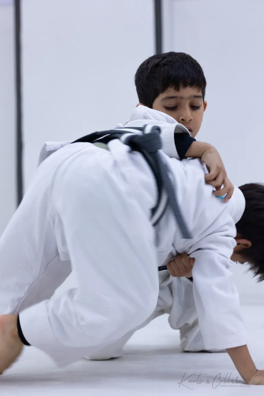 King of the Tatami — Kids, August 2026: a Brazilian Jiu-Jitsu competition at Knots & Collar, Defence Colony, New Delhi, India