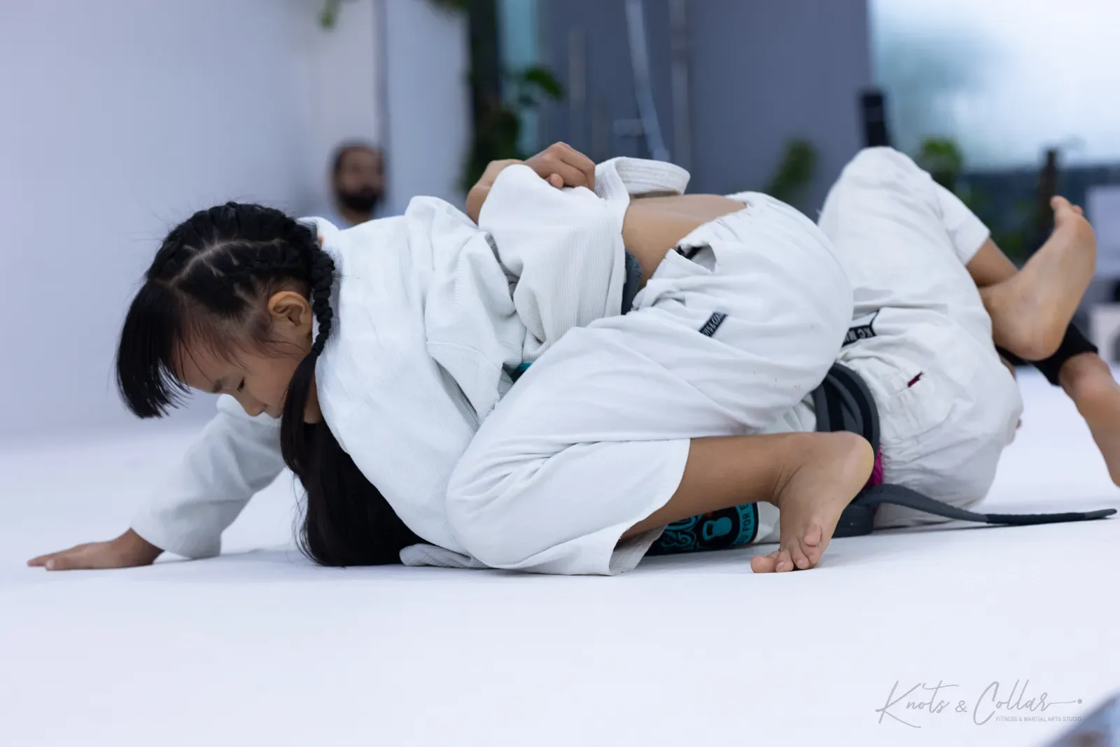 King of the Tatami — Kids, August 2026: a Brazilian Jiu-Jitsu competition at Knots & Collar, Defence Colony, New Delhi, India