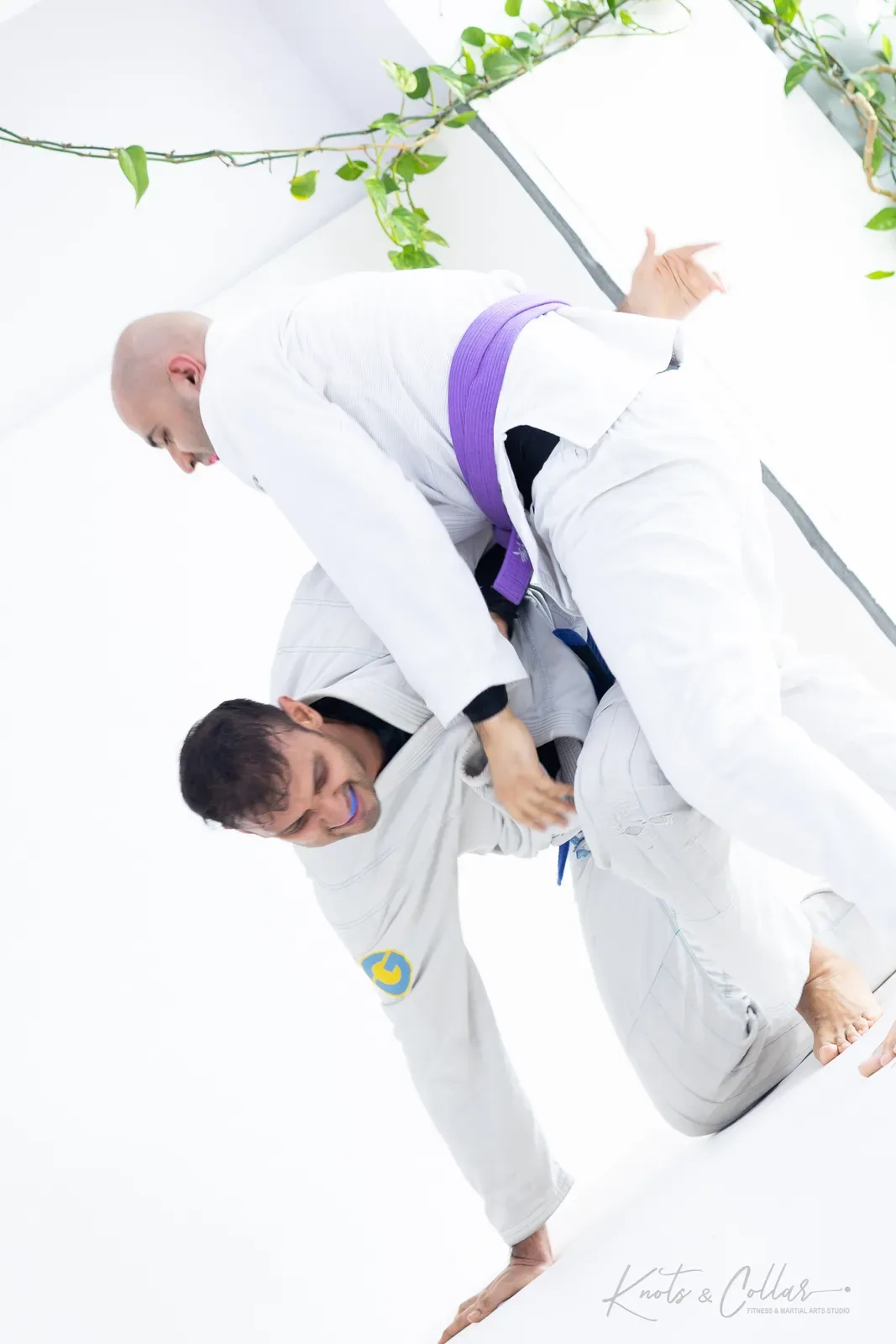 A no-gi jiu-jitsu session at Knots & Collar, Defence Colony, New Delhi, India
